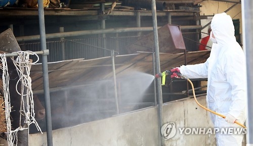 구제역 방역