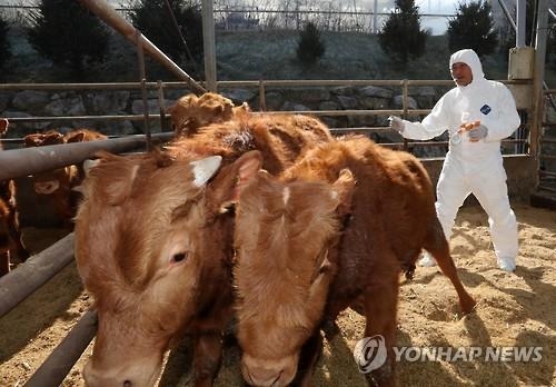 구제역
