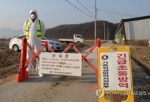 "여기부터는 출입 불가"(보은=연합뉴스) 박병기 기자 = 지난 12일 전국 6번째로 구제역이 확진된 충북 보은군 탄부면 상장리 한우농장 입구에서 가축위생방역지원본부가 외부인 출입을 통제하고 있다. 2017.2.13