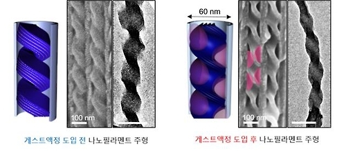 3차원 나선형 나노구조체(왼쪽)와 이 구조체 내에 액정물질을 도입 후 모습
