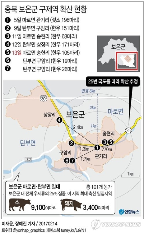 "소 다 잡을 수도 없고"…살처분 범위 놓고 고민 빠진 충북도 - 2