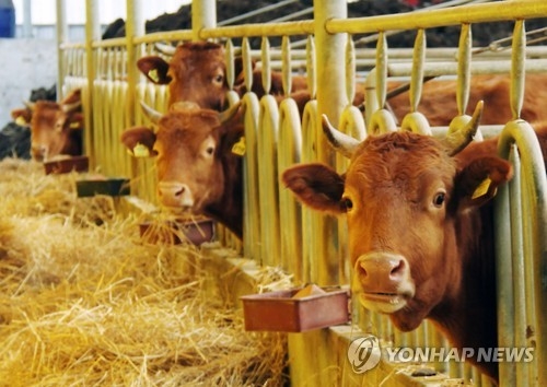 지긋지긋 가축질병 끝나나…AI·구제역 첫발생 충북 소강국면 - 1