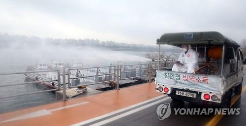 서울 또 뚫렸다…한강 인근 쇠기러기서 AI 바이러스 검출(종합) - 1