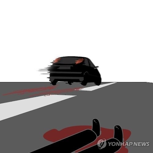 "동물인 줄 알았다" 보행자 치고 뺑소니 70대 검거 - 1
