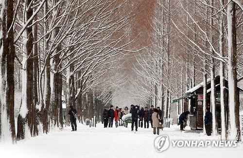 담양 메타세쿼이아길 설경