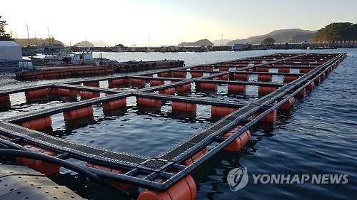 바다 가두리양식장