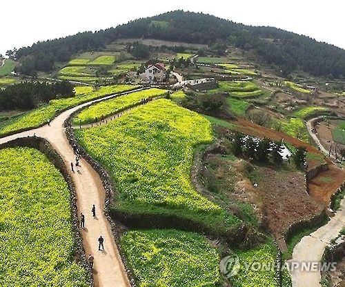 완도군 청산도