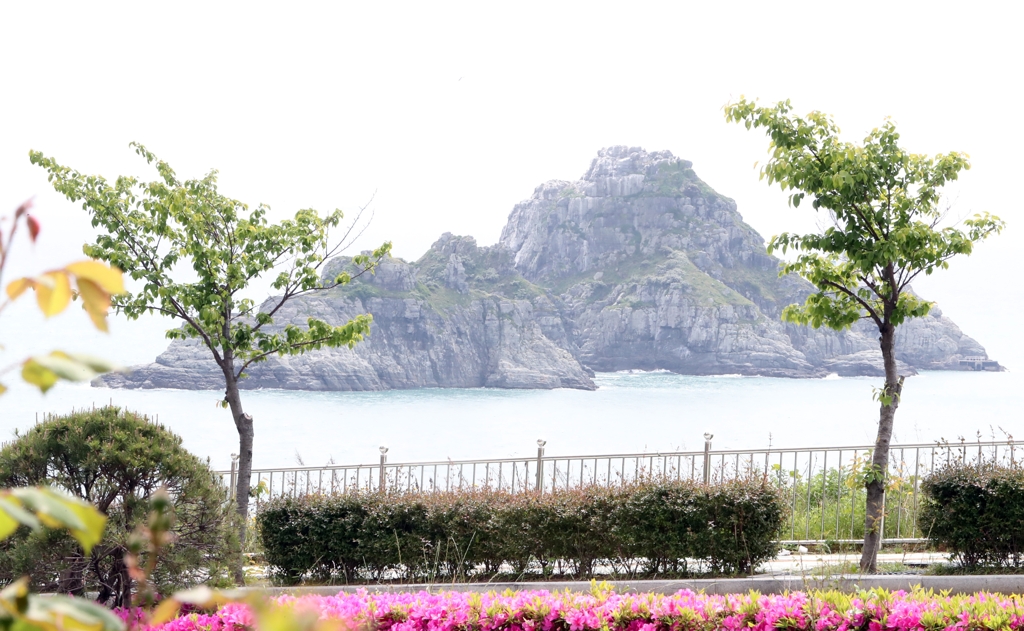 오륙도 마주한 해안도로 가로수