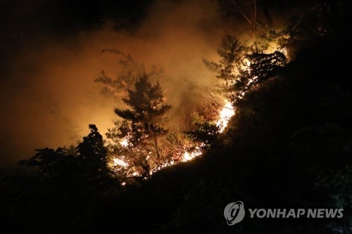 봄철 바짝 마른 산 '화약고'…불붙으면 순식간 '화르르' - 1
