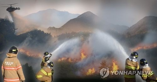 산불[연합뉴스 자료사진]