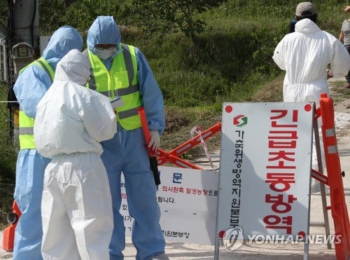 안전처, AI 재발에 "축산농가 방문 자제하고 야생조류 접촉금지" - 1