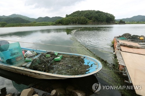 낙동강 달성보 인근서 올해 첫 녹조 띠 발견