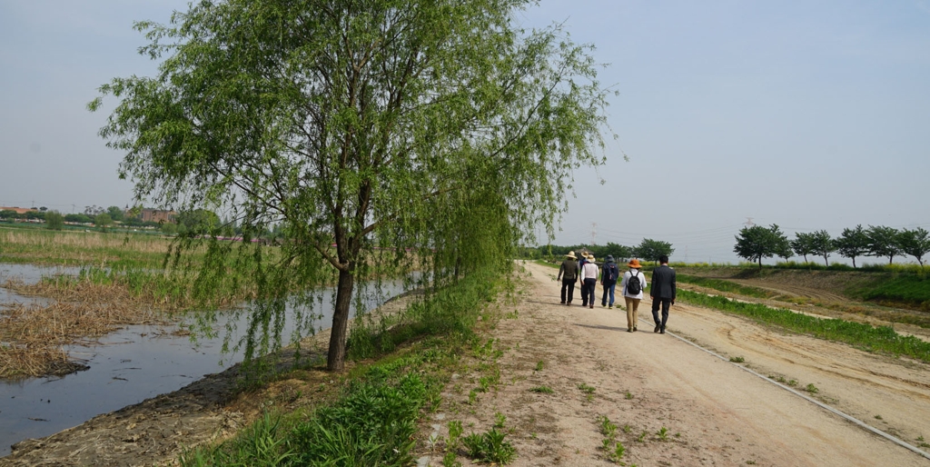 합덕제 산책로