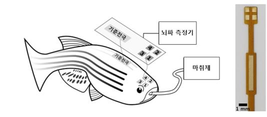 정밀 뇌파 측정 방식