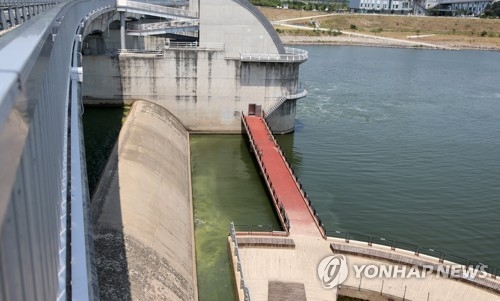강정고령보 녹조