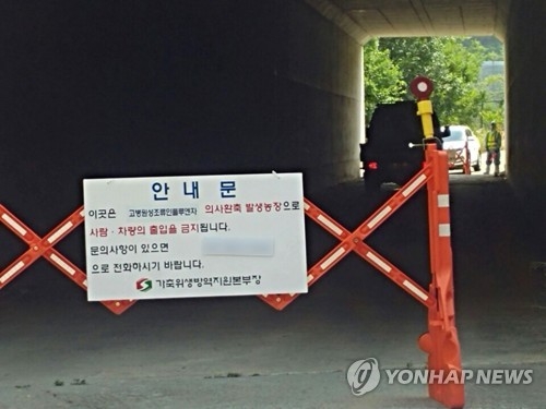 대구서 AI 의심 토종닭