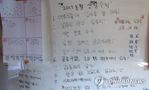 적막했던 농촌마을 왁자지껄 농활 대학생들로 '활기'(종합) - 2