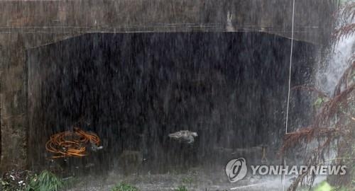 3명 실종됐는데 폭우는 계속