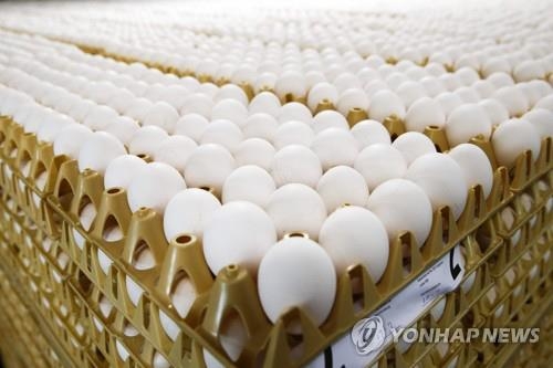 '살충제 계란' 영국에서도 유통 확인 - 1