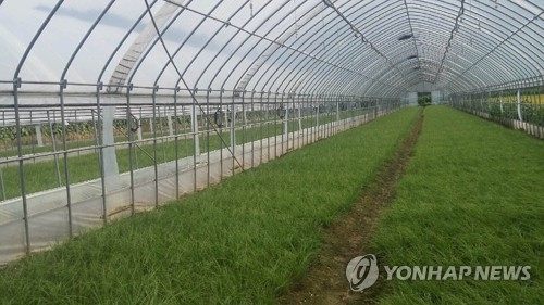 농가 비닐하우스