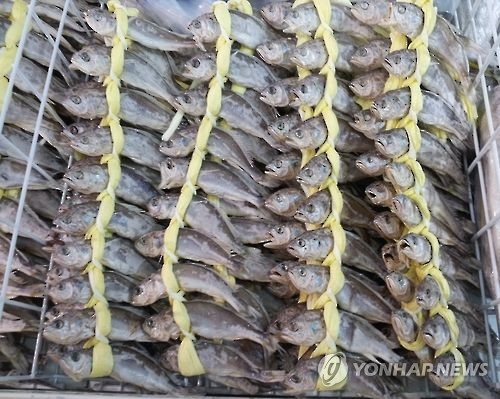 굴비