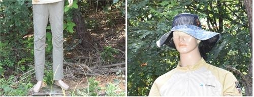 장수말벌 공격 부위 실험