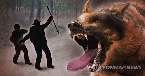 개