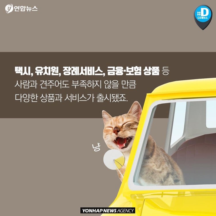 [카드뉴스] "가족이라면서요?"…유기동물 9만마리 육박 - 7