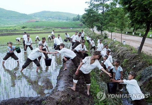 지난 6월 북한의 가뭄 극복에 동원된 학생들