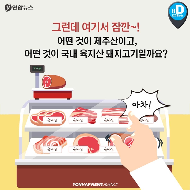 [카드뉴스] 제주산 vs 육지산 구별법… 육지 돼지, 웰컴 투 제주 - 6
