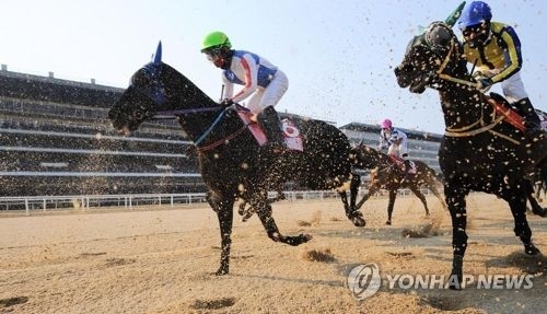 경마 장면 사진