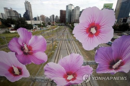나라꽃 무궁화