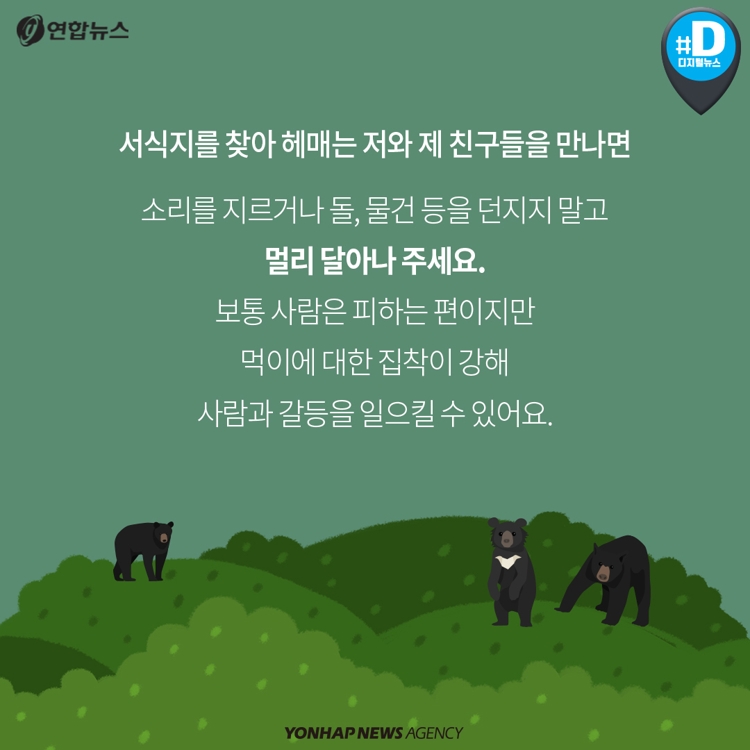[카드뉴스] 지리산에서 세 번 도망친 반달가슴곰 이야기 - 11