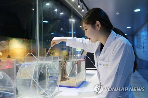 "뭉치면 도와준다"…산업부·특허청, 기업간 협업모델 지원 - 1