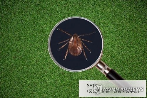야생진드기 감염증