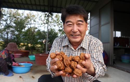 "호두가 효자여"