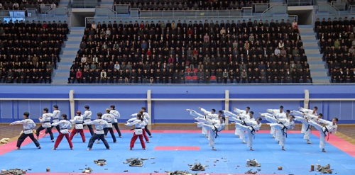 WT와 ITF 시범단의 합동공연 모습.