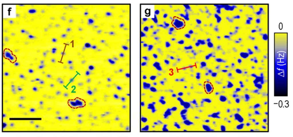 이종접합 구조물의 자기력현미경 이미지. 가로와 세로가 각각 4㎛인 공간 속에 매우 많은 스커미온(파란색)이 존재하고 있다. [IBS 제공=연합뉴스]