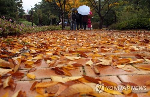 충북 전역에 빗방울…5㎜ 미만에 그칠 듯 - 1