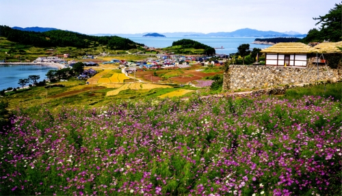 청산도 비경.