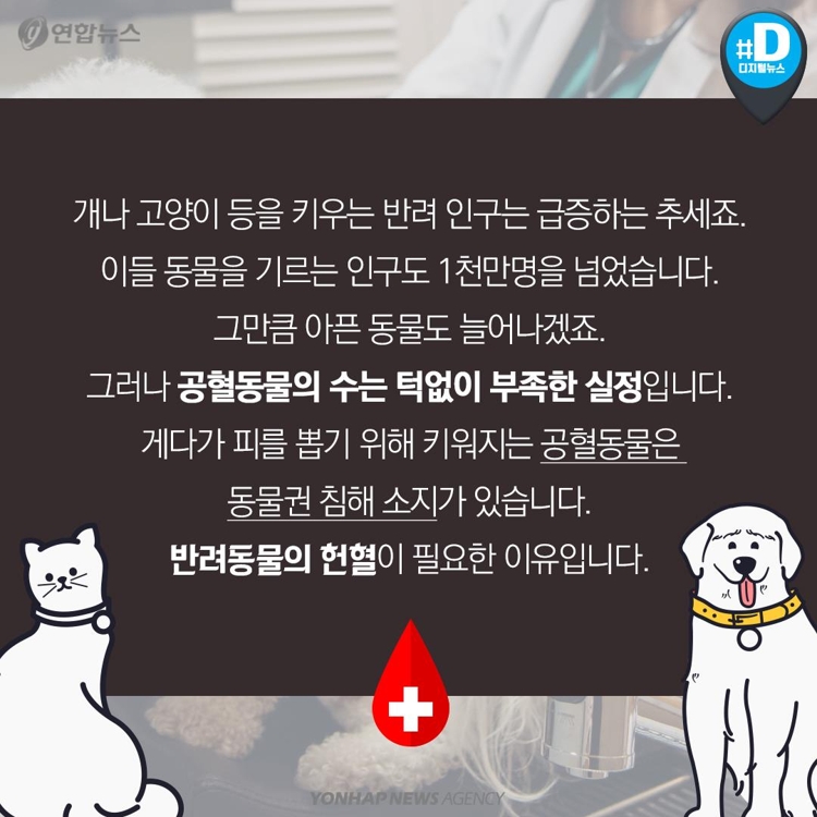 [카드뉴스] 우리 개와 고양이도 헌혈해보면 어떨까요? - 12