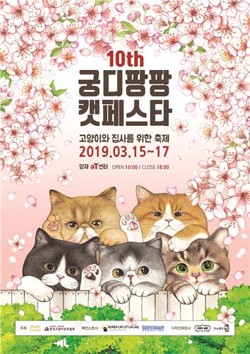 "애묘인을 위한 축제"…'궁디팡팡 캣페스타' 양재 aT센터서 개최 - 1