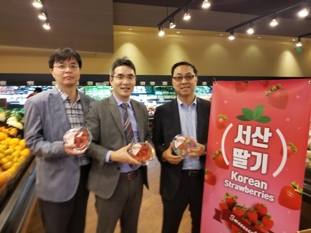 미국시장에서 한국산 딸기 홍보