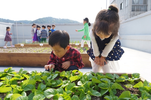 도심 텃밭 가꾸는 어린이