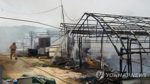 양계장 화재