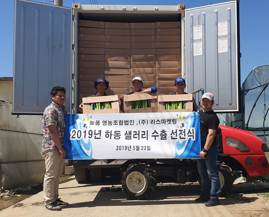 하동산 샐러리 대만으로 수출합니다