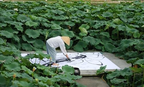 김제 하소백련축제