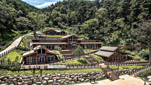 숲속으로 다이어트 여행 떠나볼까…휴가철 이색 숲 여행