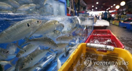마산어시장 축제