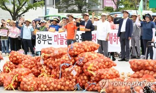 양파 가격 폭락 항의 집회